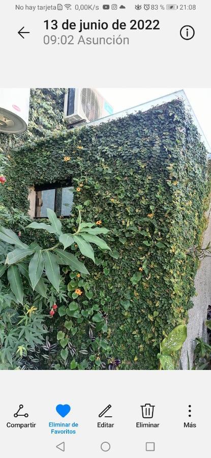 Granados Acomodação com café da manhã Assunção Exterior foto