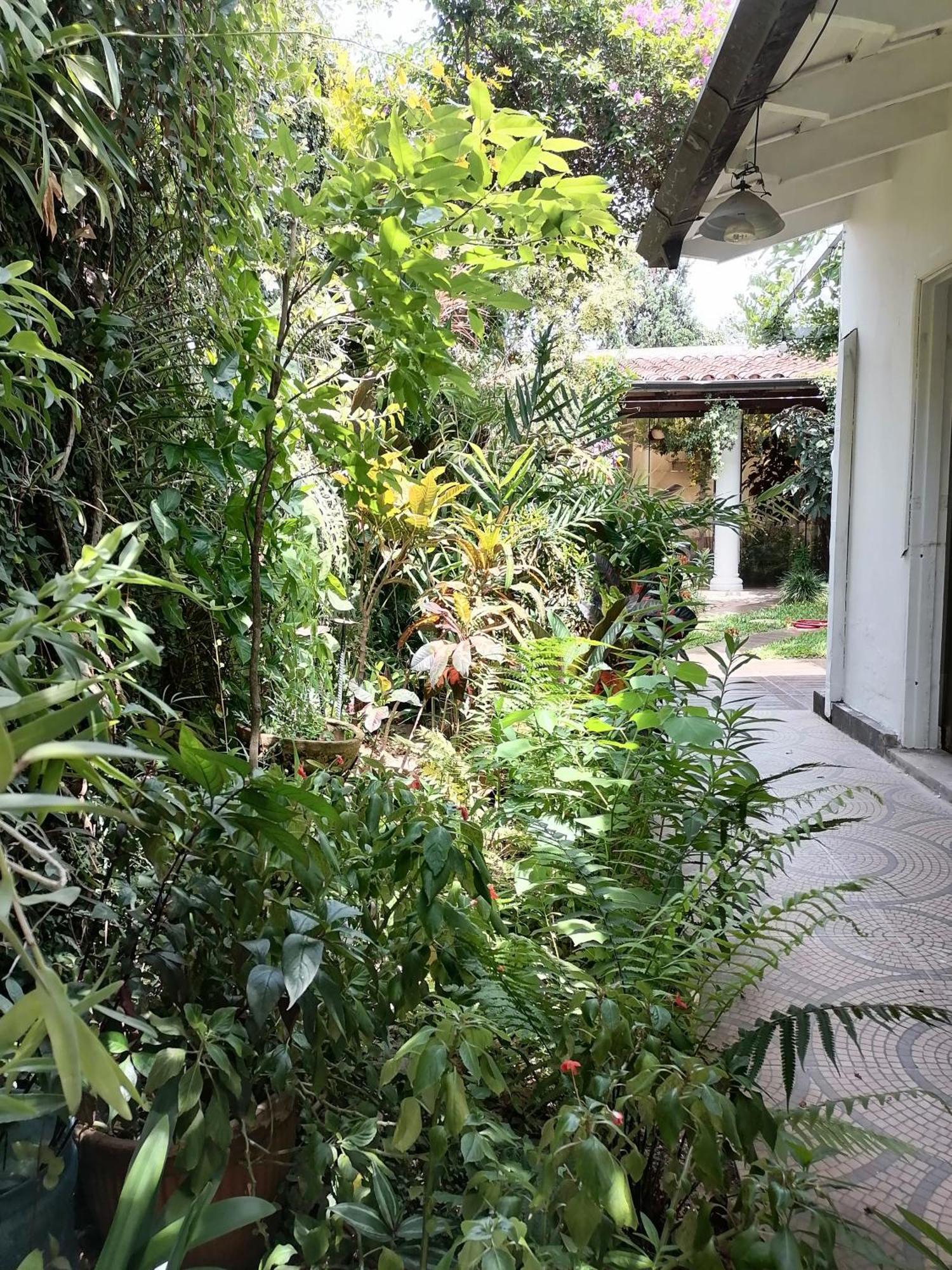 Granados Acomodação com café da manhã Assunção Exterior foto