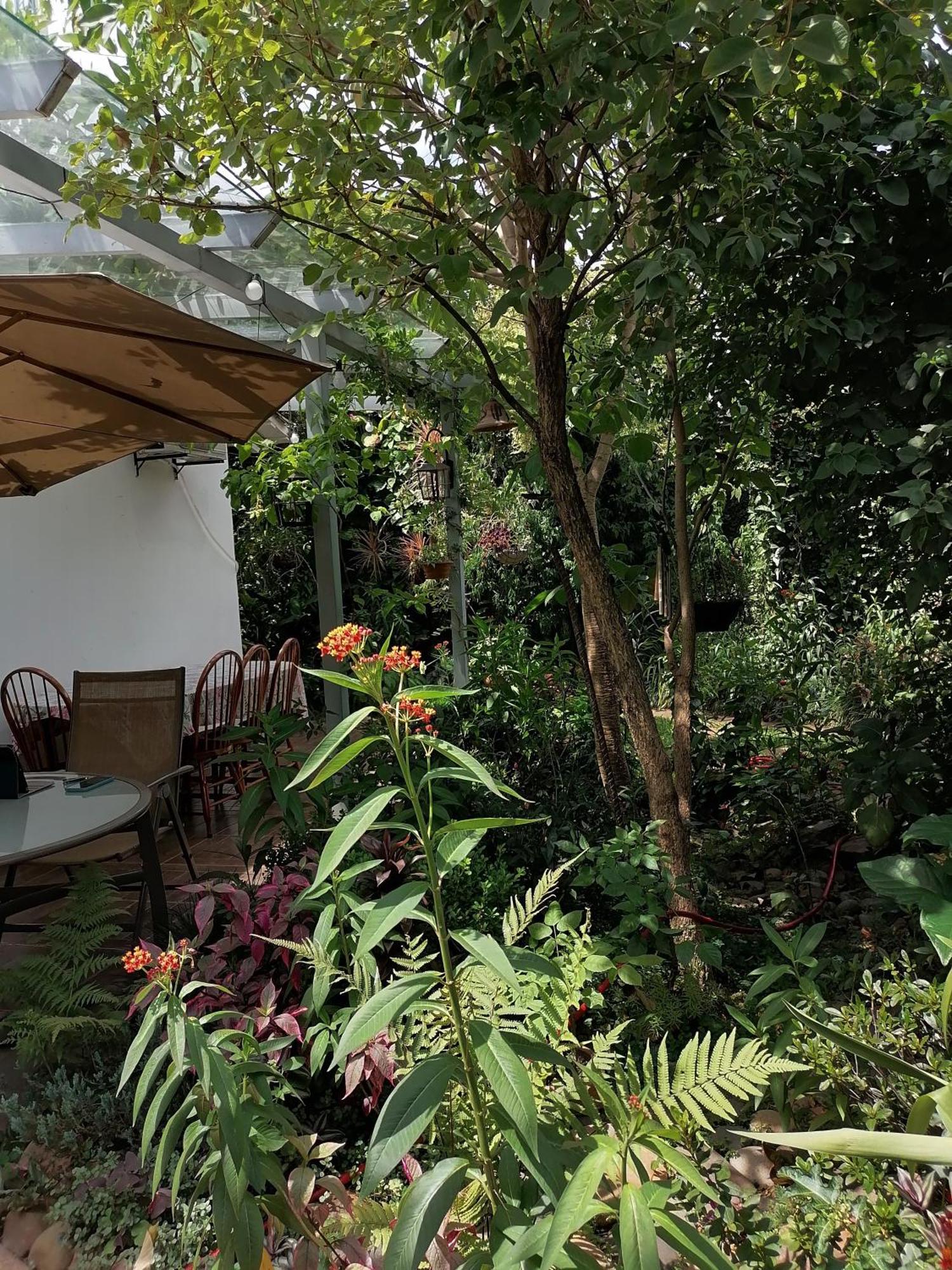 Granados Acomodação com café da manhã Assunção Exterior foto