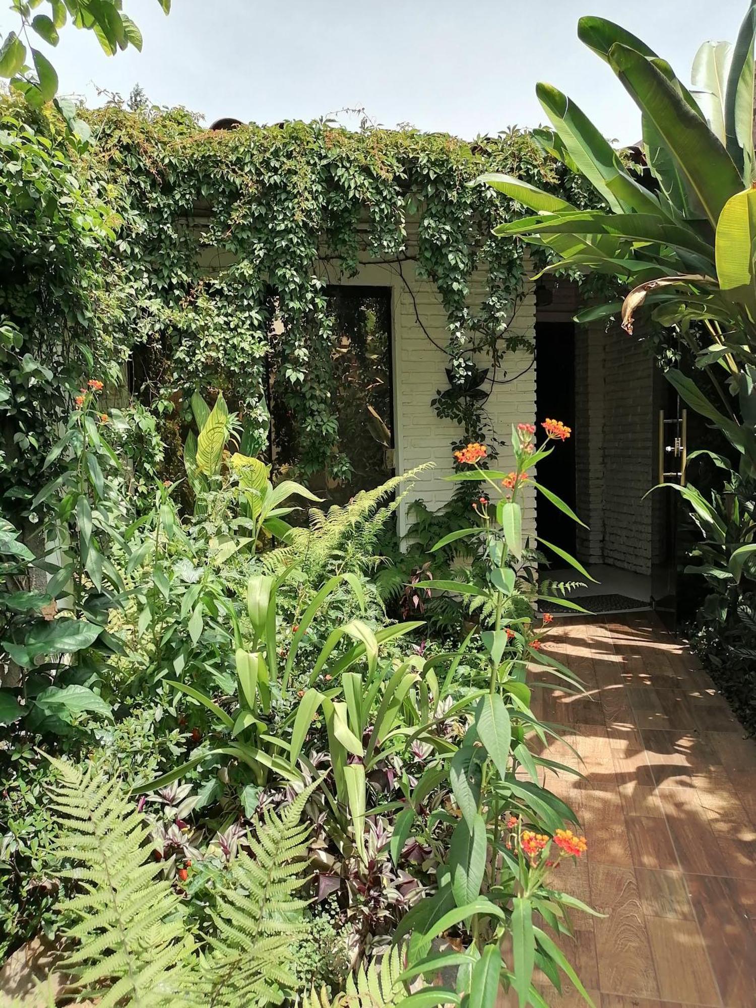 Granados Acomodação com café da manhã Assunção Exterior foto