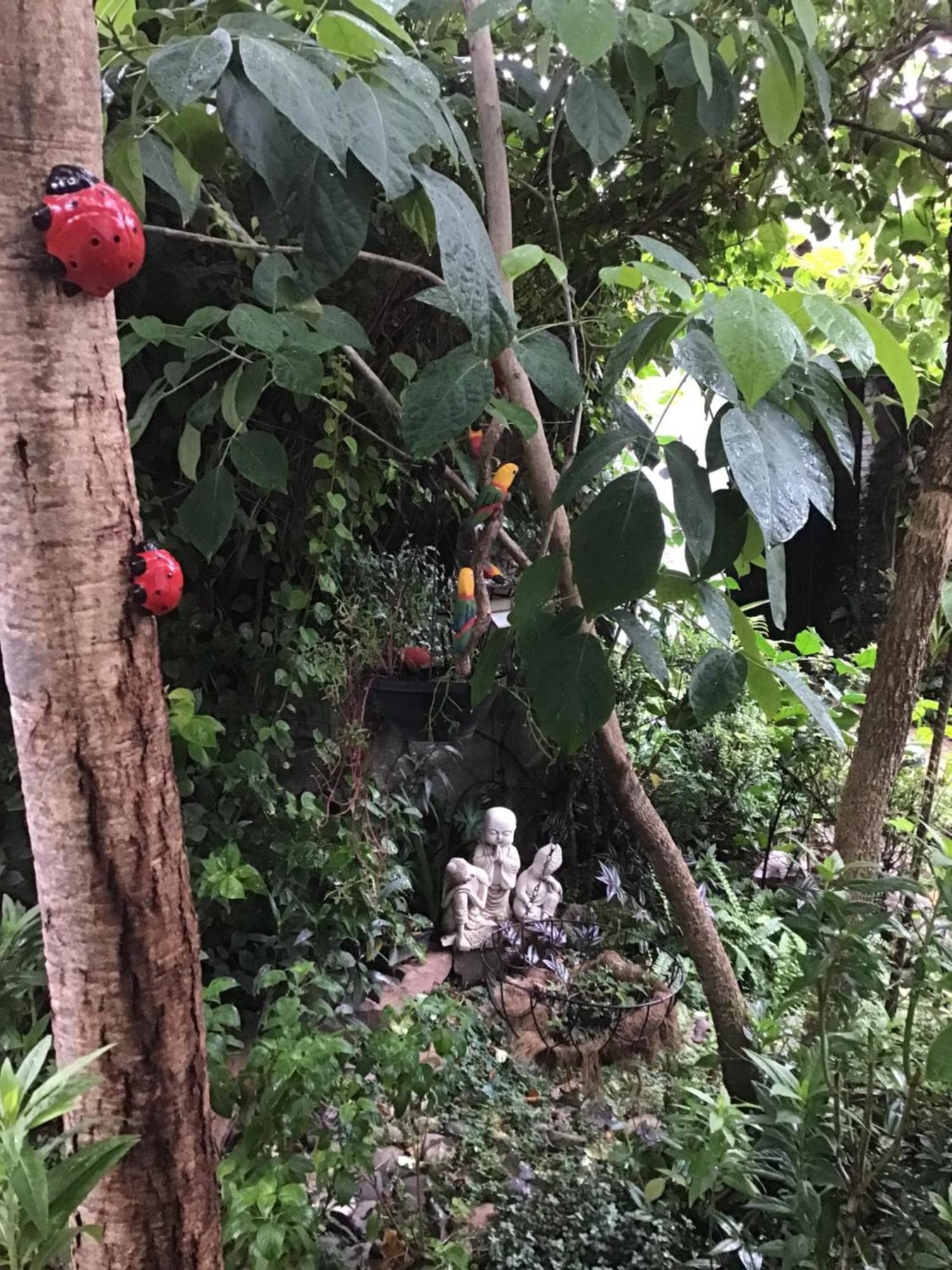 Granados Acomodação com café da manhã Assunção Exterior foto